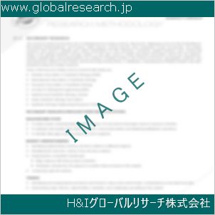 グローバルリサーチ調査資料のイメージ